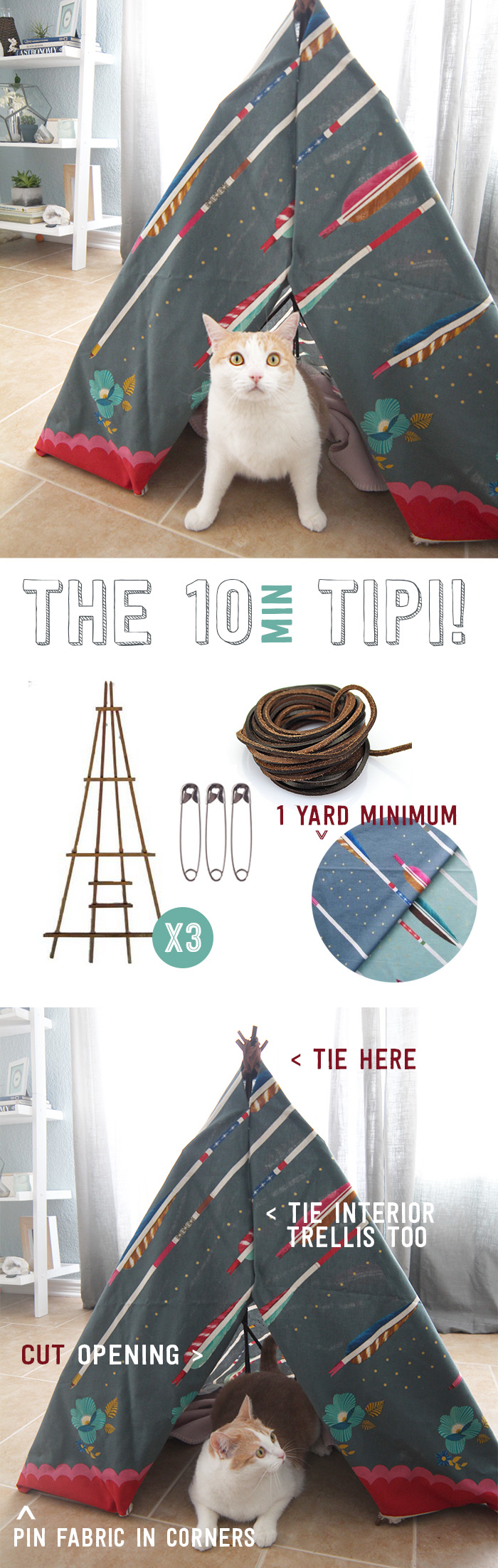 tipi-infographic